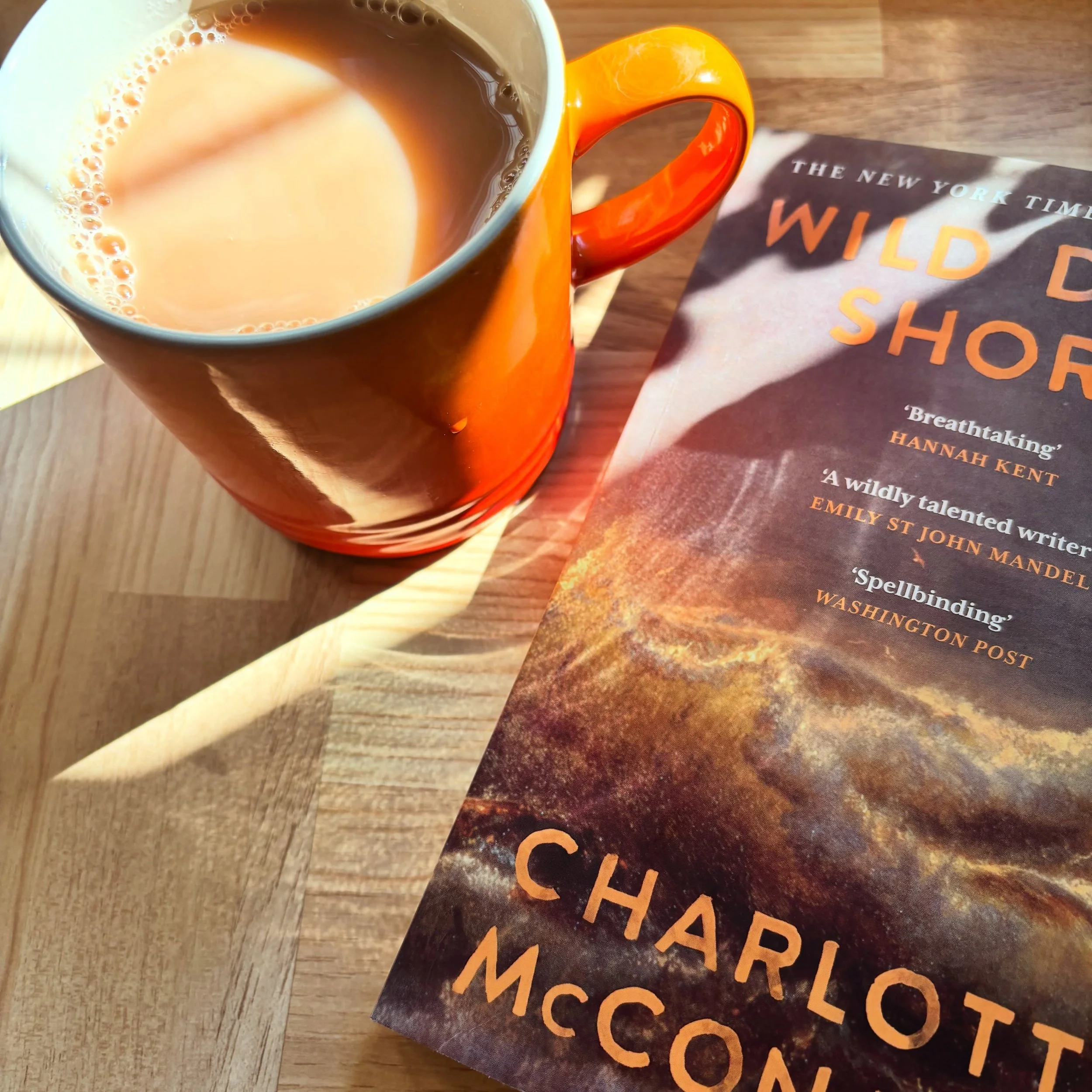 The writing on this was beautiful, the characters real and fully formed - I absolutely adored this but it was so bleak. I devoured the last fifty pages in a breathless rush. But now I have to read The Love Hypothesis to recover.
#bookreview #bookreco