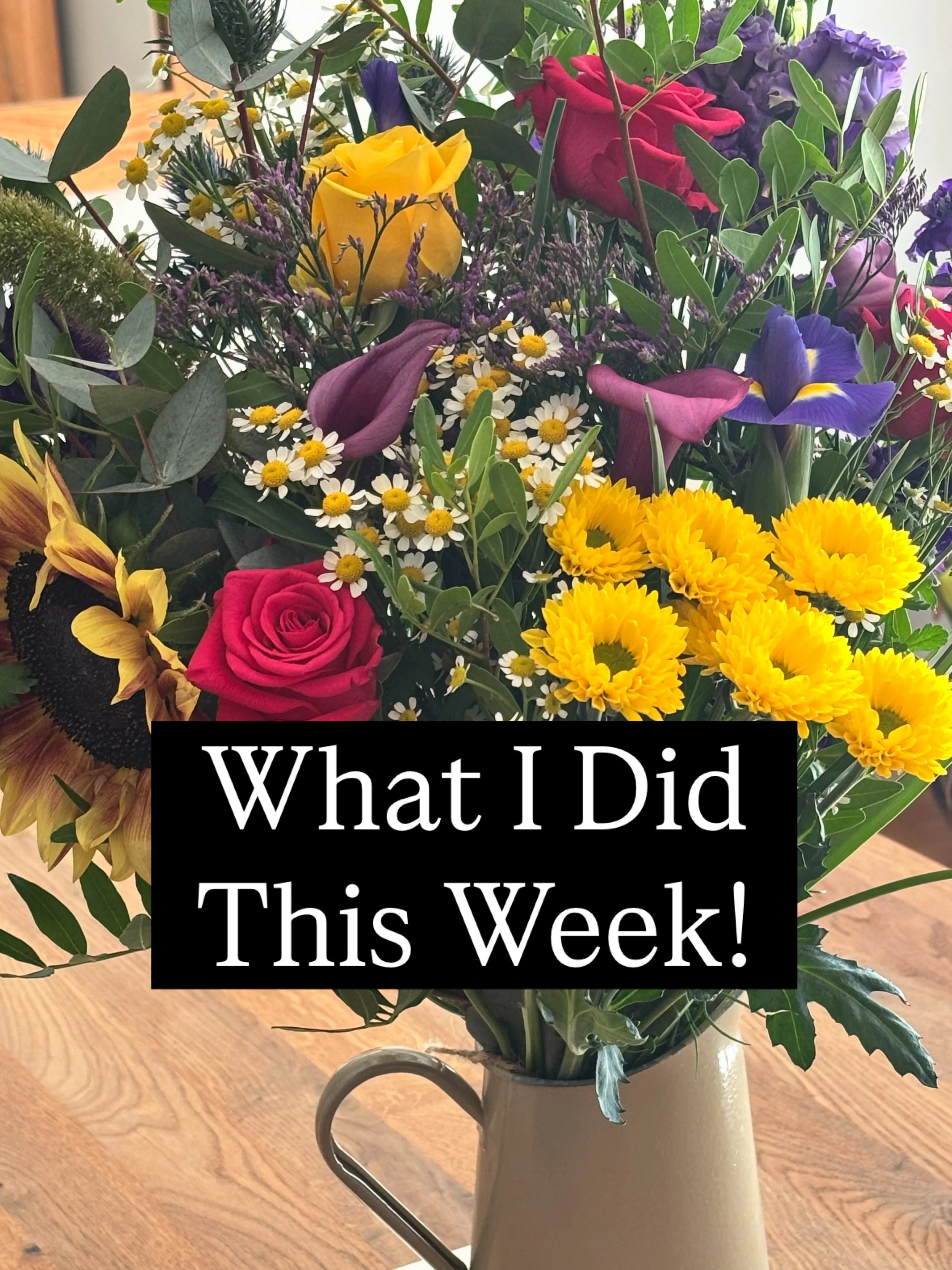 What I did this week&hellip;.
Wrestling with copyedits, and I had a new book published!
#authorlife #writinglife #dayinthelife