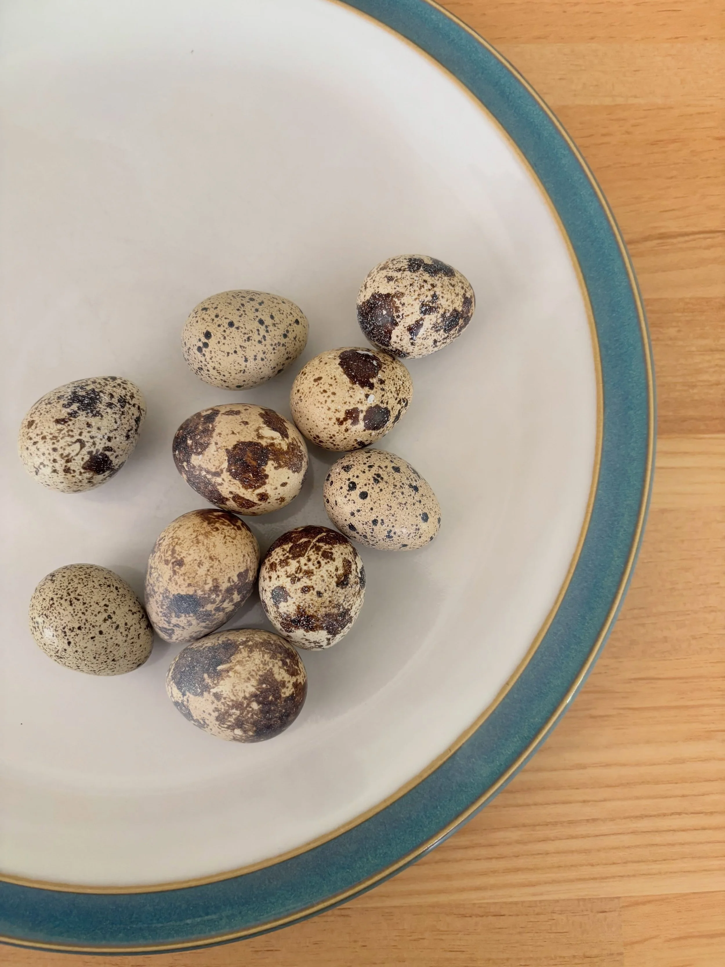 Home, and a delicious lunch of quail eggs, courtesy of @flisschester and her flock of fluffy potatoes. They were delicious!
(And for live quail updates of Quailer Swift and her friends, tune into @quailyfans &hellip;)