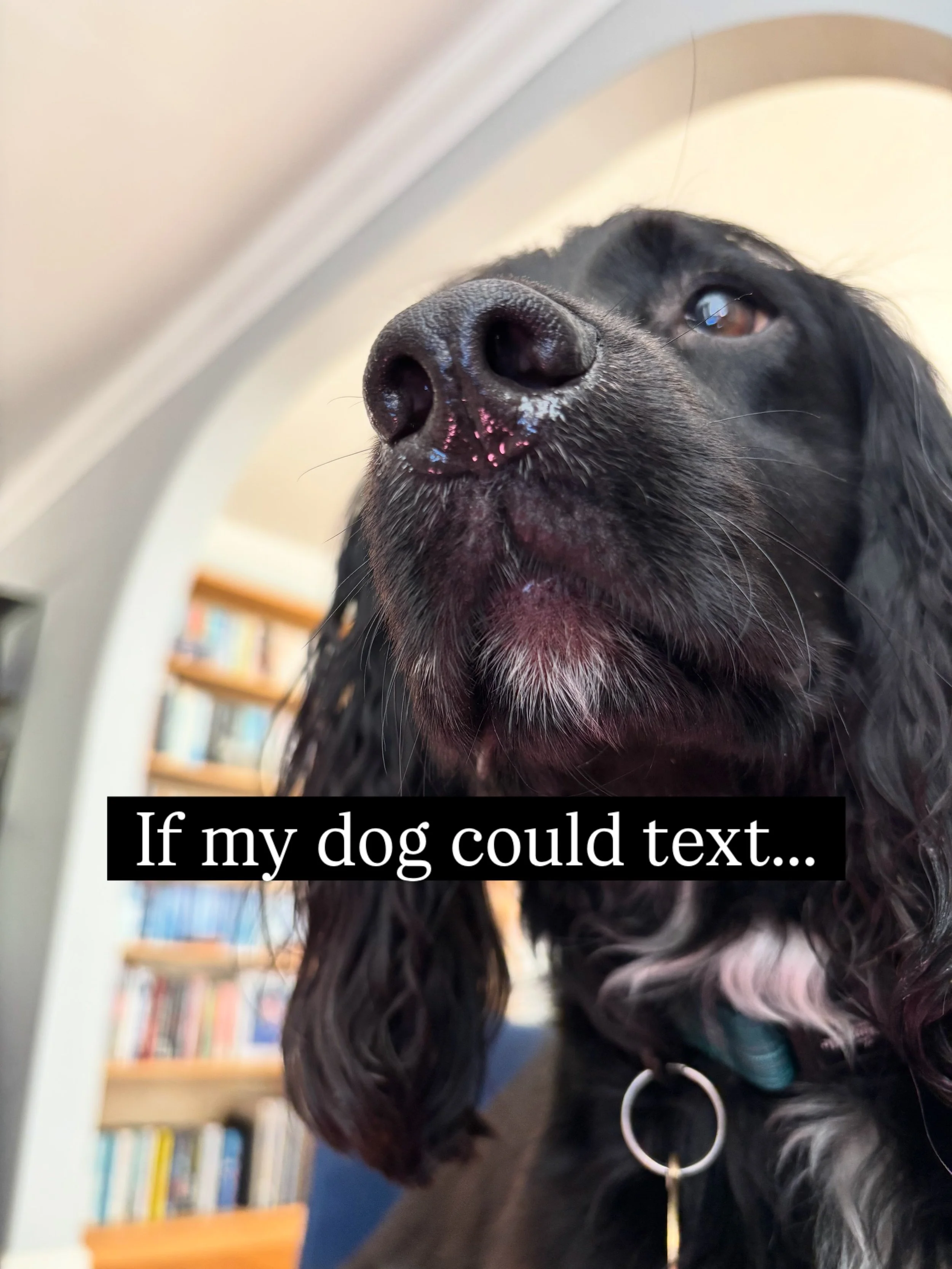 Maybe Max would have a better sense of punctuation than this&hellip;? He does spend all day with a writer, after all.