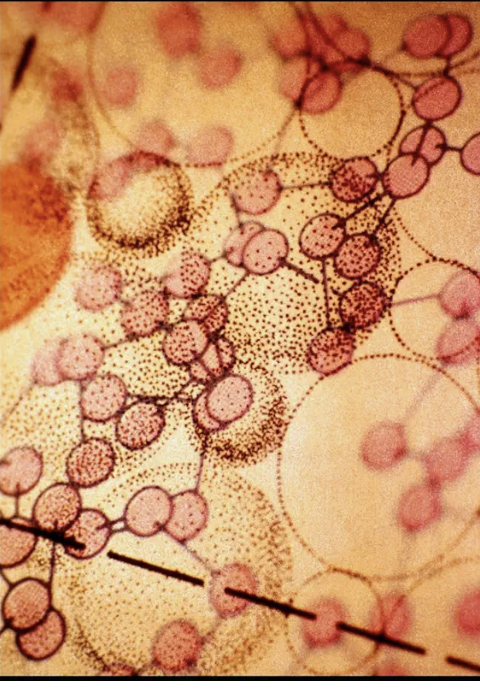 Capture d’écran 2026-04-21 à 09.24.11.png