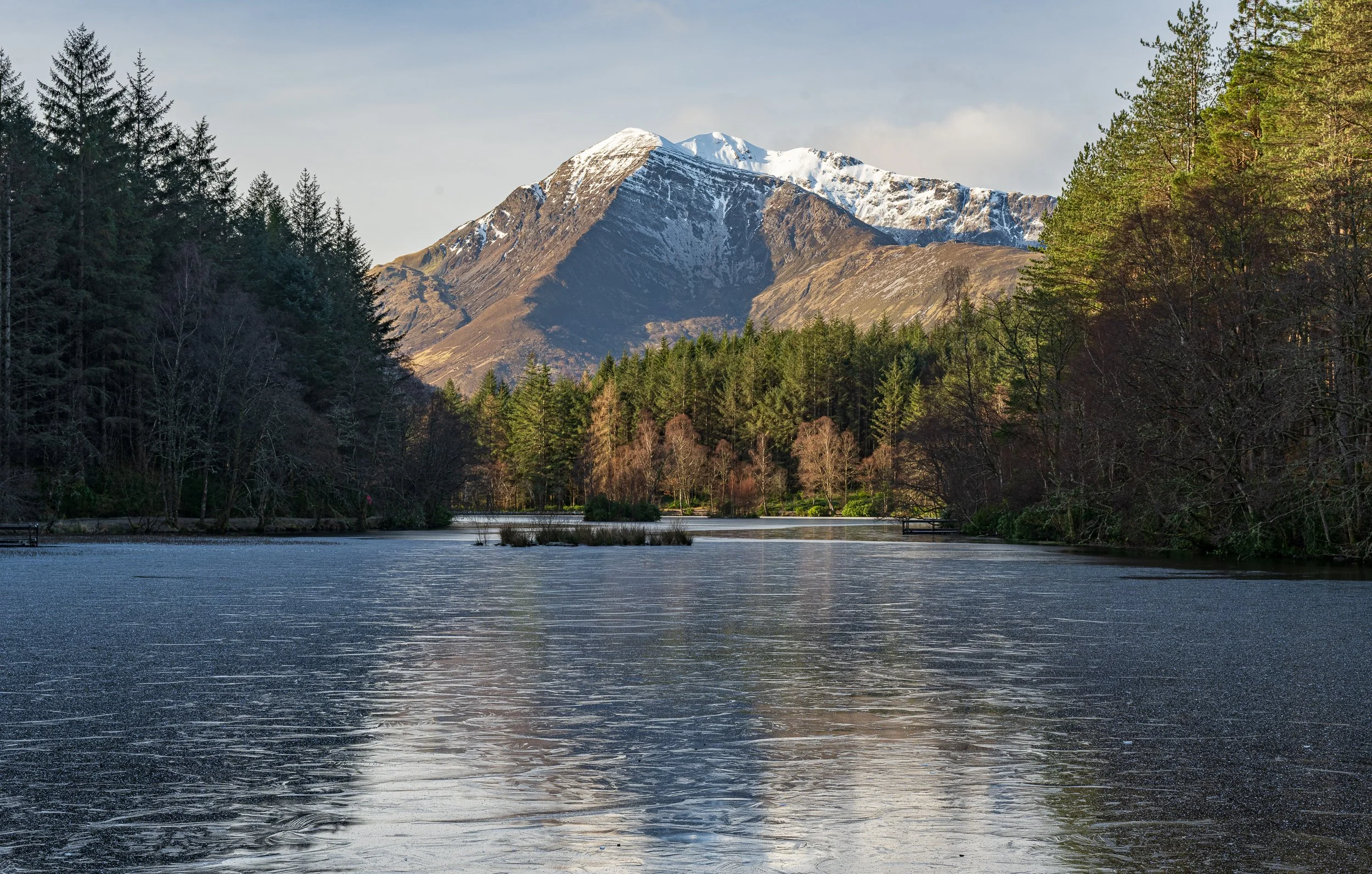 Website--Website 25-12.jpg