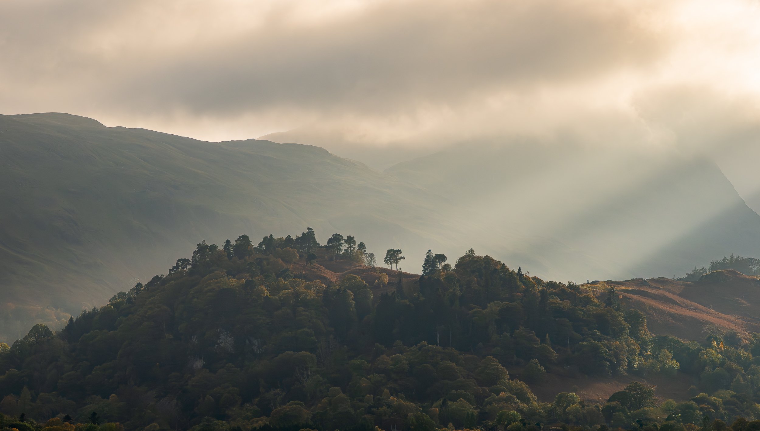 Website-1669-Website 25-2.jpg