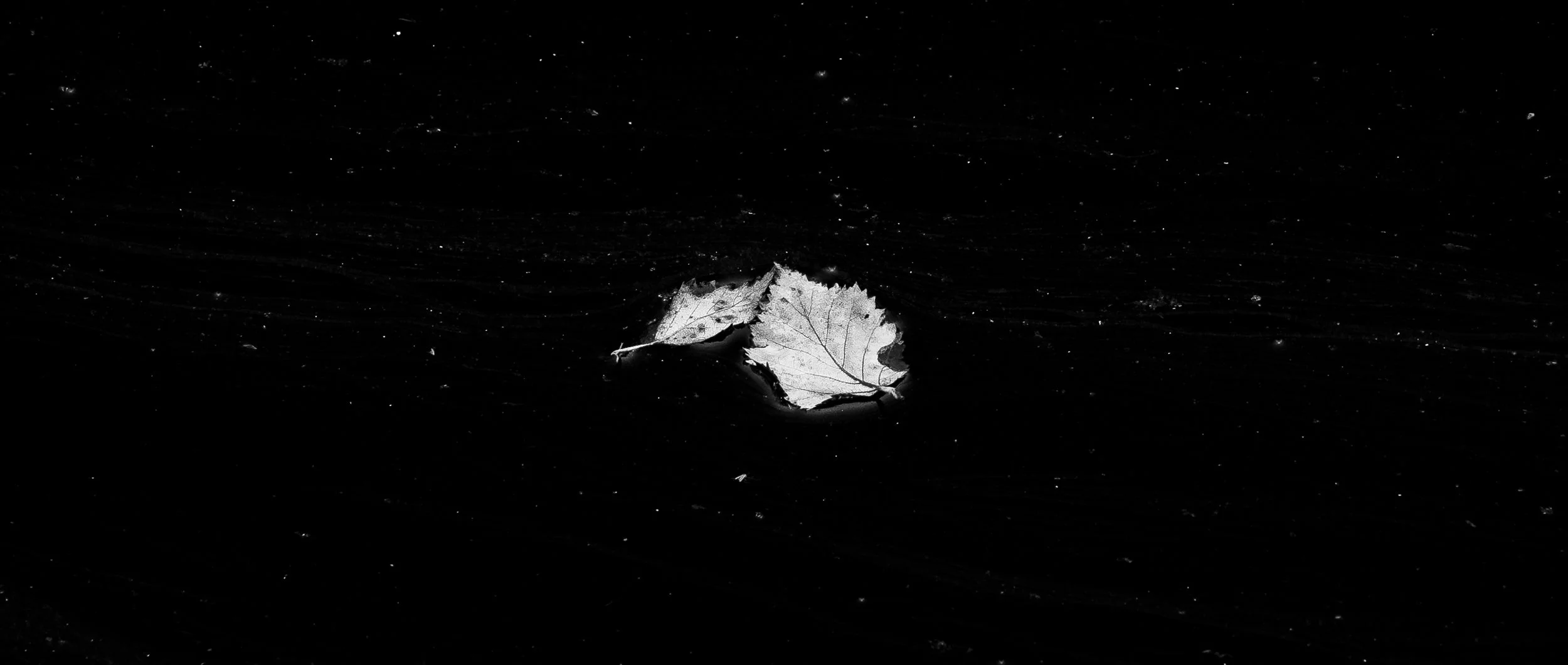 Black and White