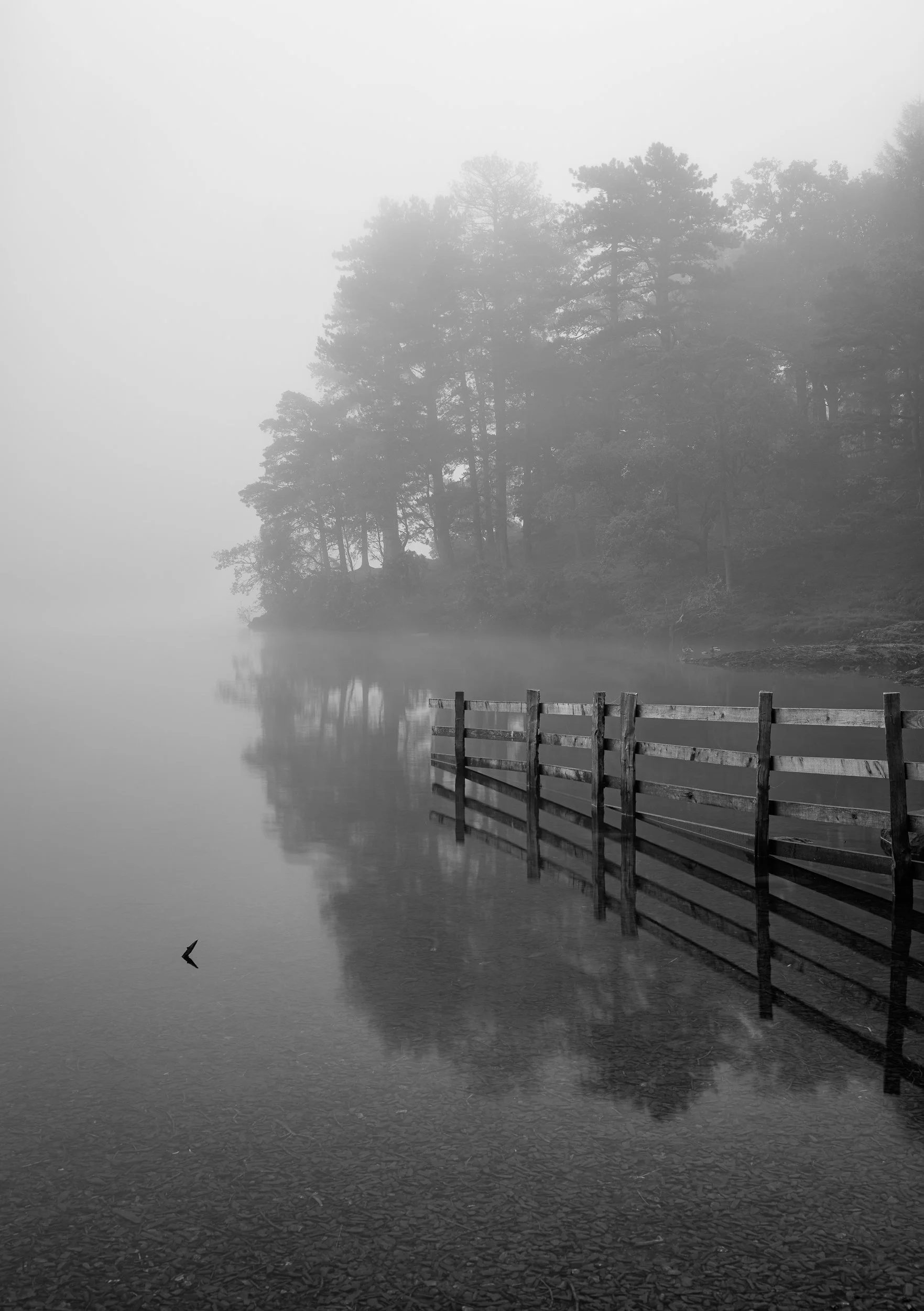 Manesty Park