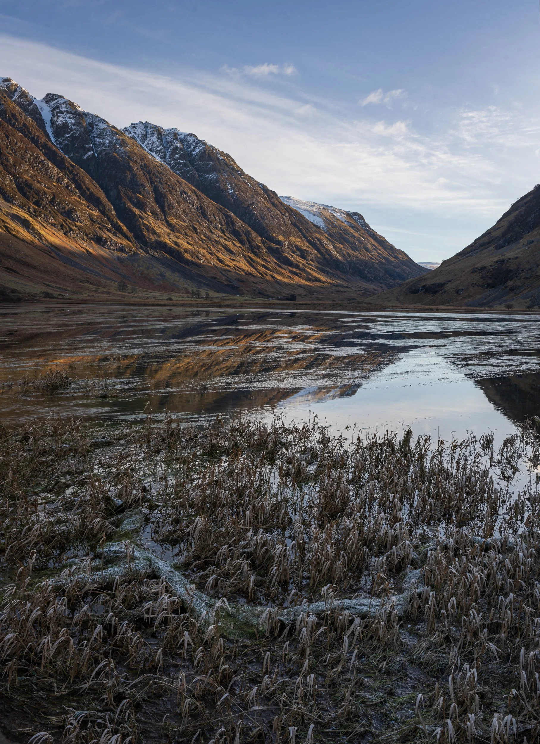 Website--Website 25-9.jpg