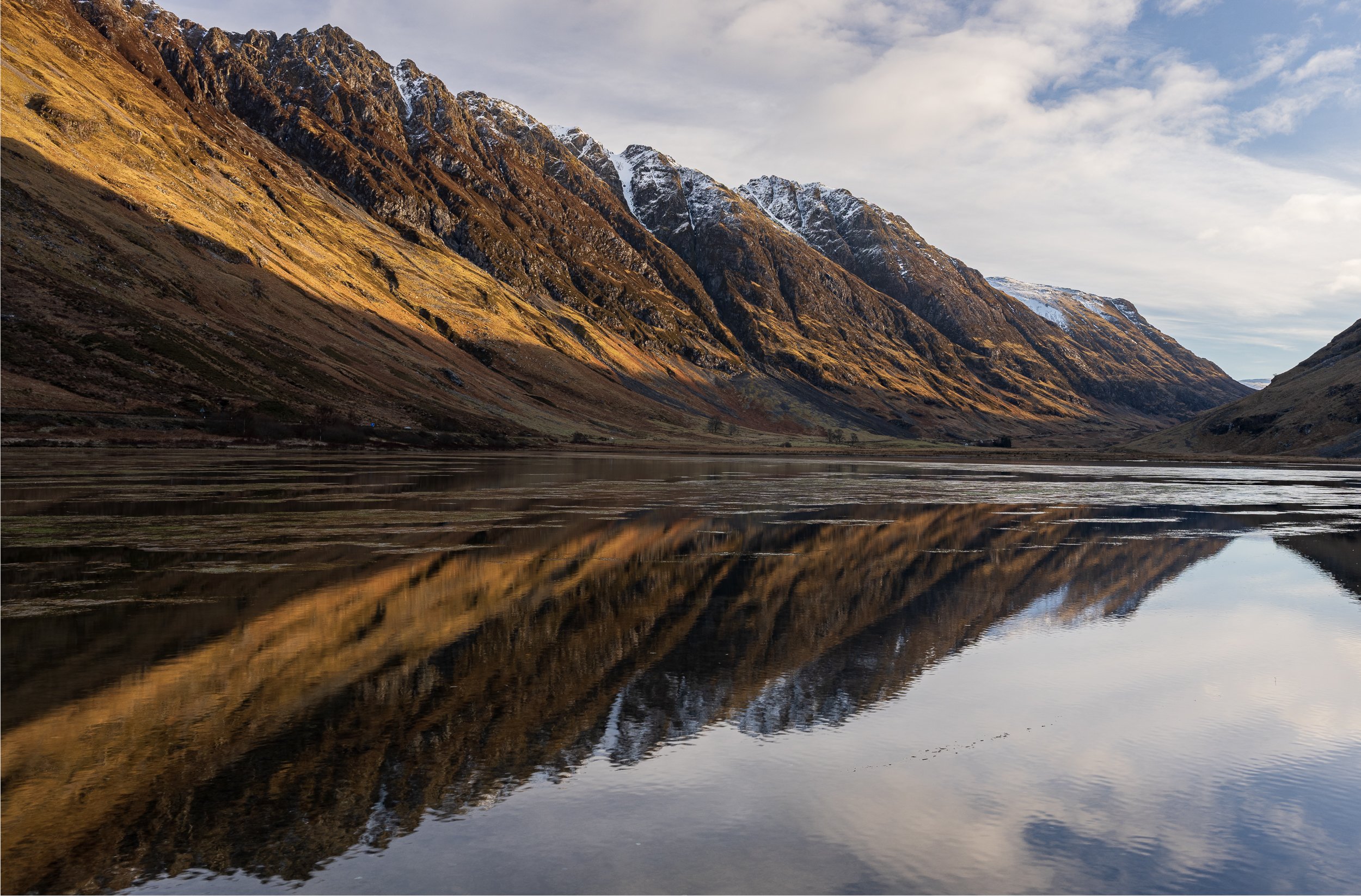 Website--Website 25-10.jpg