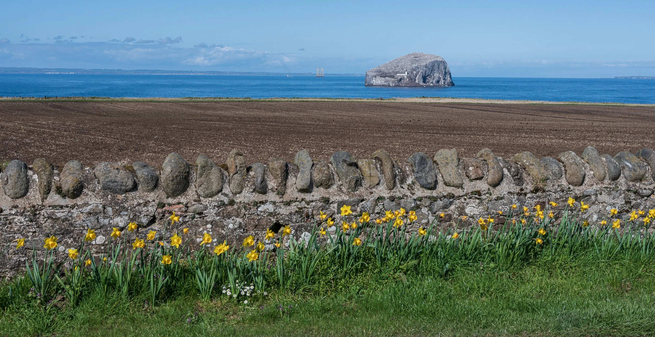 A stone wall in front of a green lawn with yellow flowers, a plowed field, and a sea with rock formations in the distance under a partly cloudy sky.