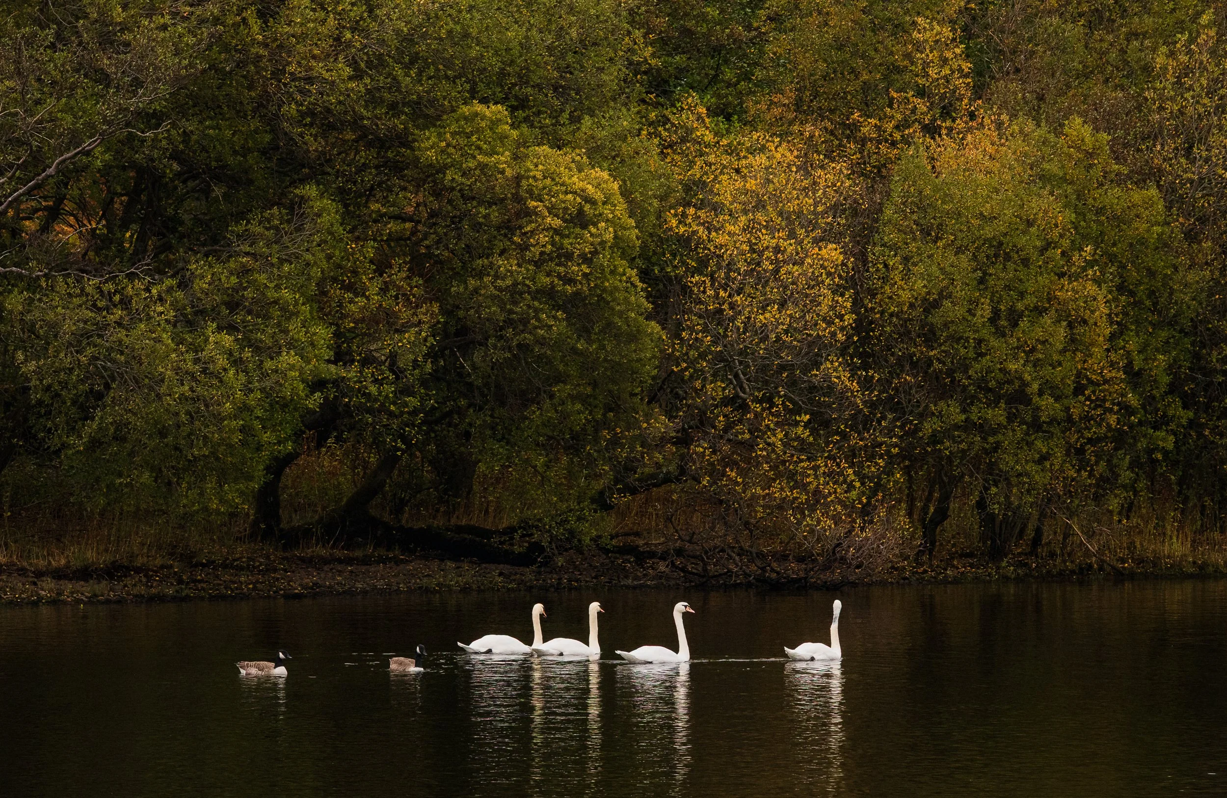 Ullswater Steamer Trip