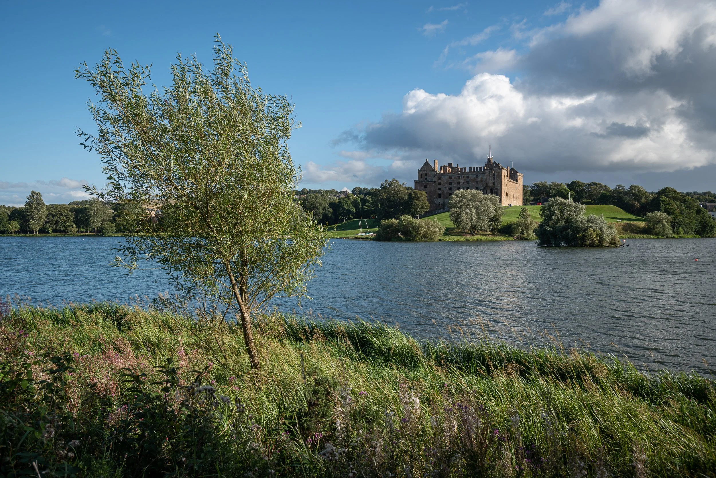 A scenic view of a lake with a small tree in the foreground, lush green grass and plants along the shoreline, and a historic castle on a hill in the background under a partly cloudy sky.