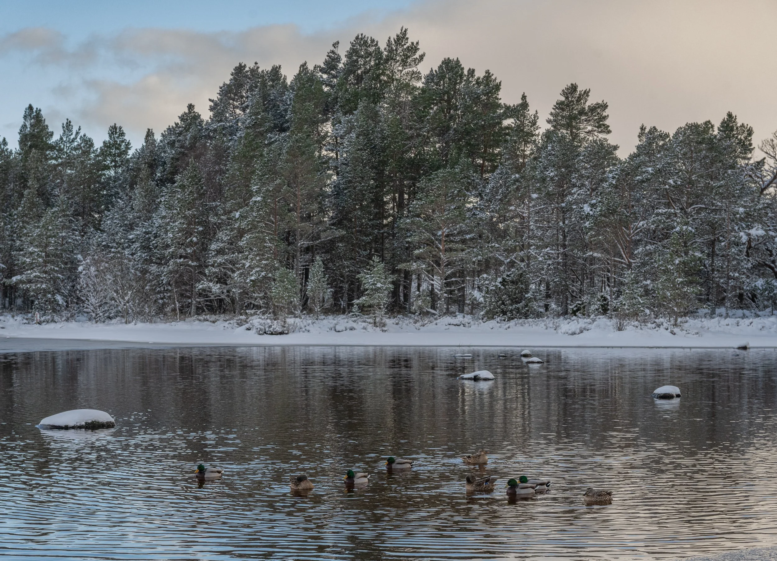 Website-2117-Website 25-2.jpg