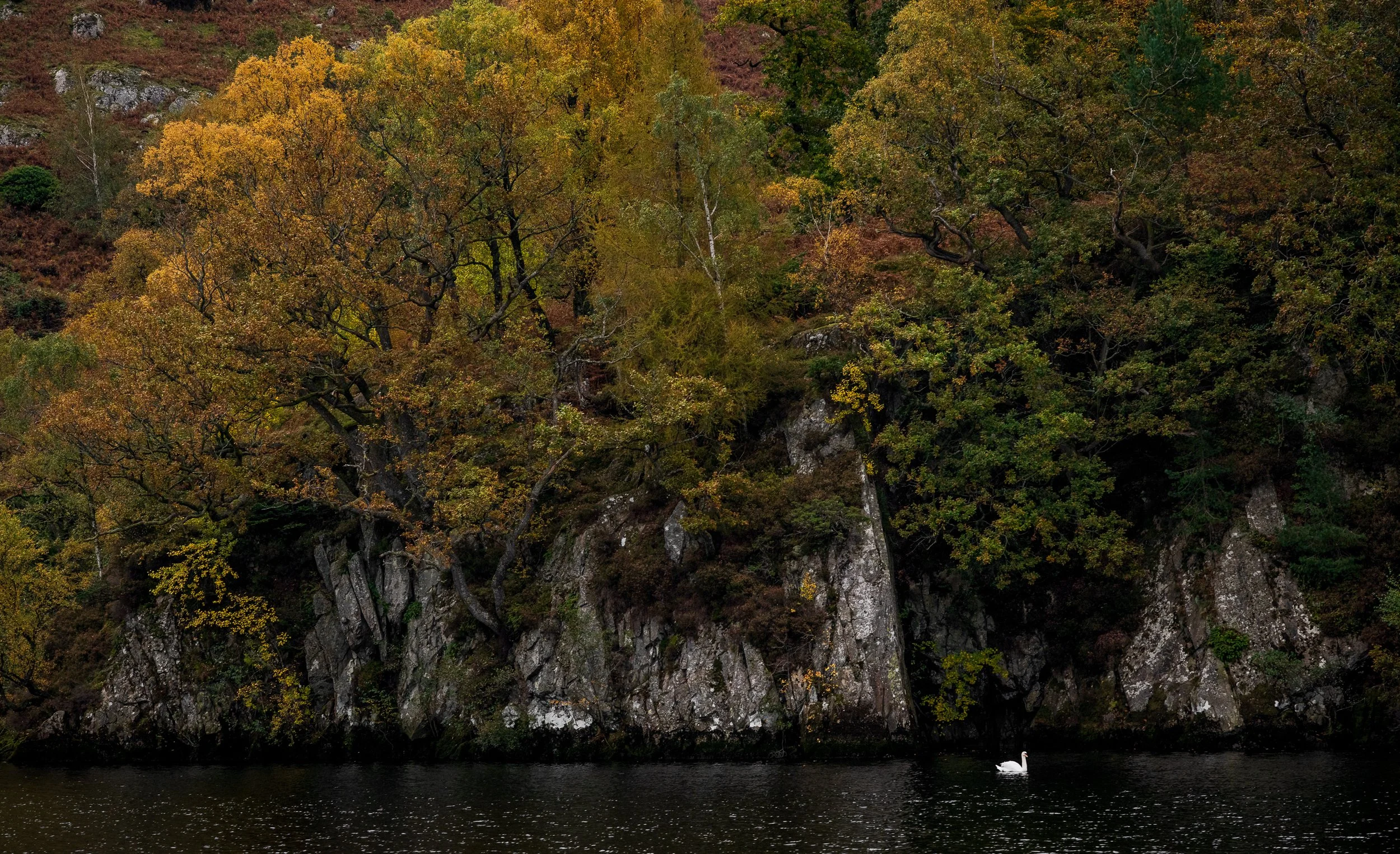Ullswater Steamer Trip