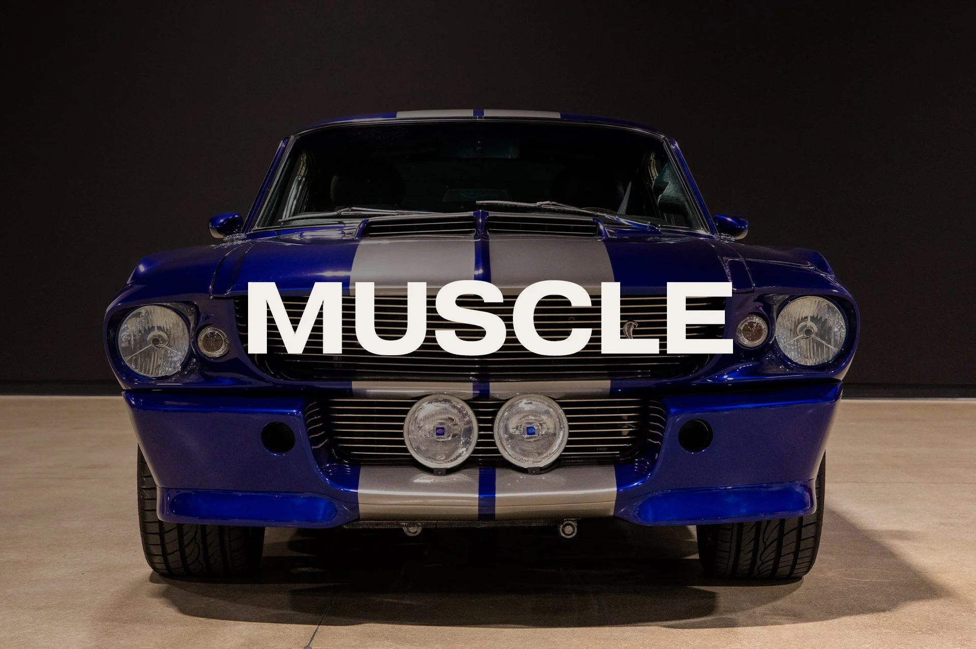 HMC-Website-ThumbnailImages-1920x1277-Muscle.jpg