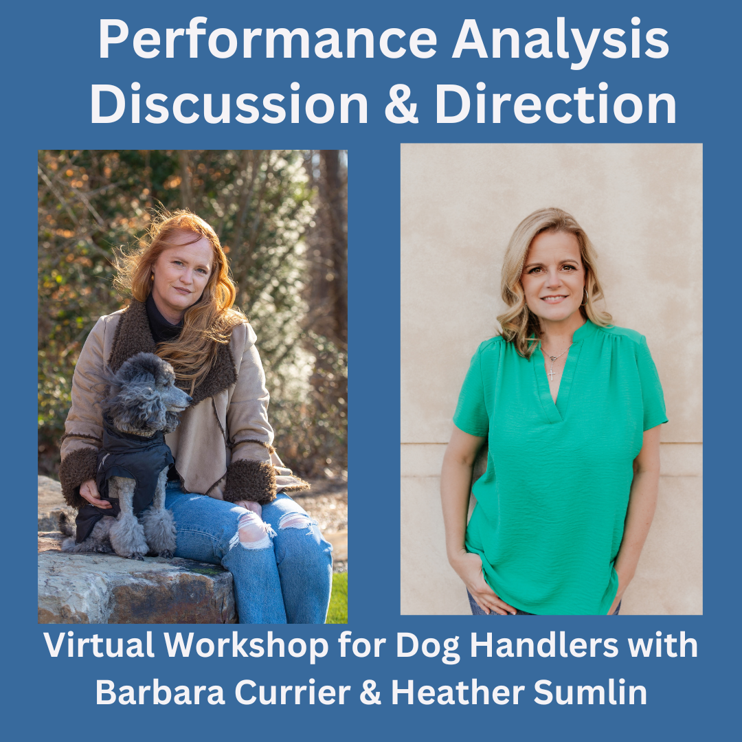 Performance Analysis Discussion & Direction