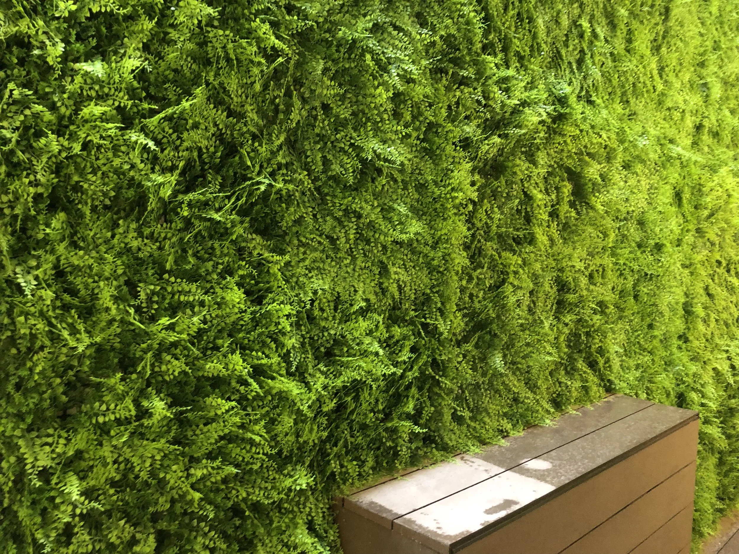 Copia de IMG_0287 conv.jpeg