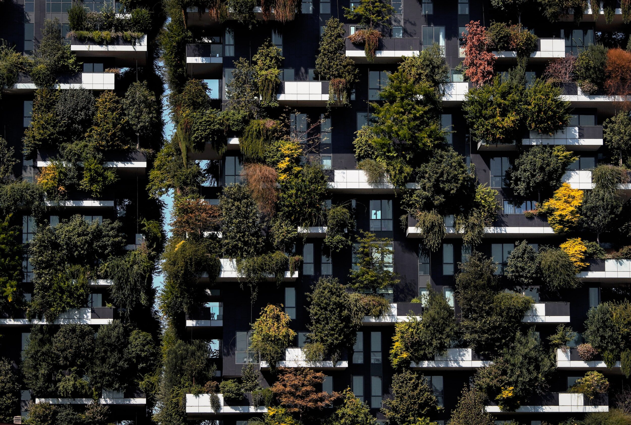 Transforma Tu Balcón: De Espacio Olvidado a Oasis Urbano