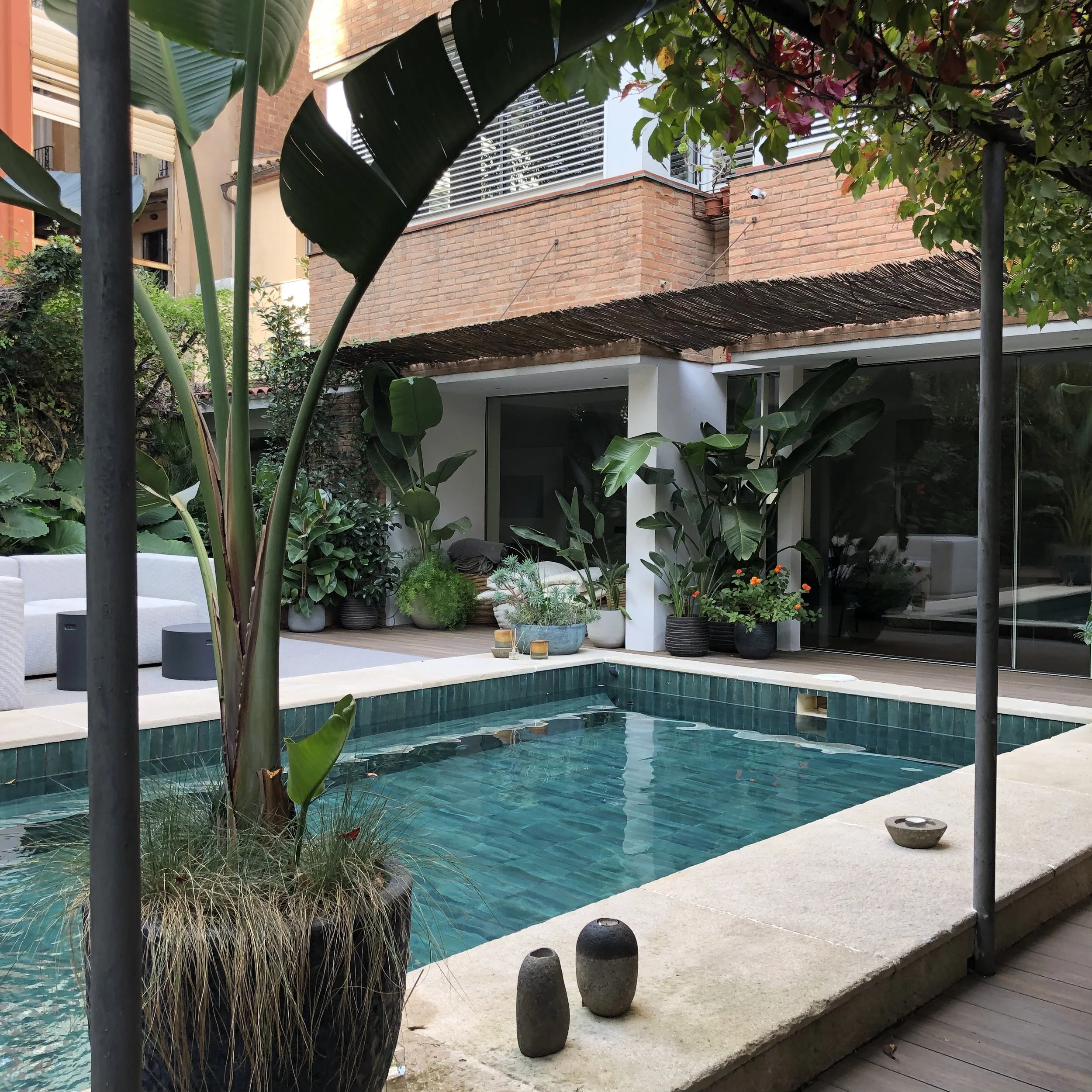 Copia de IMG_2314 conv.jpeg