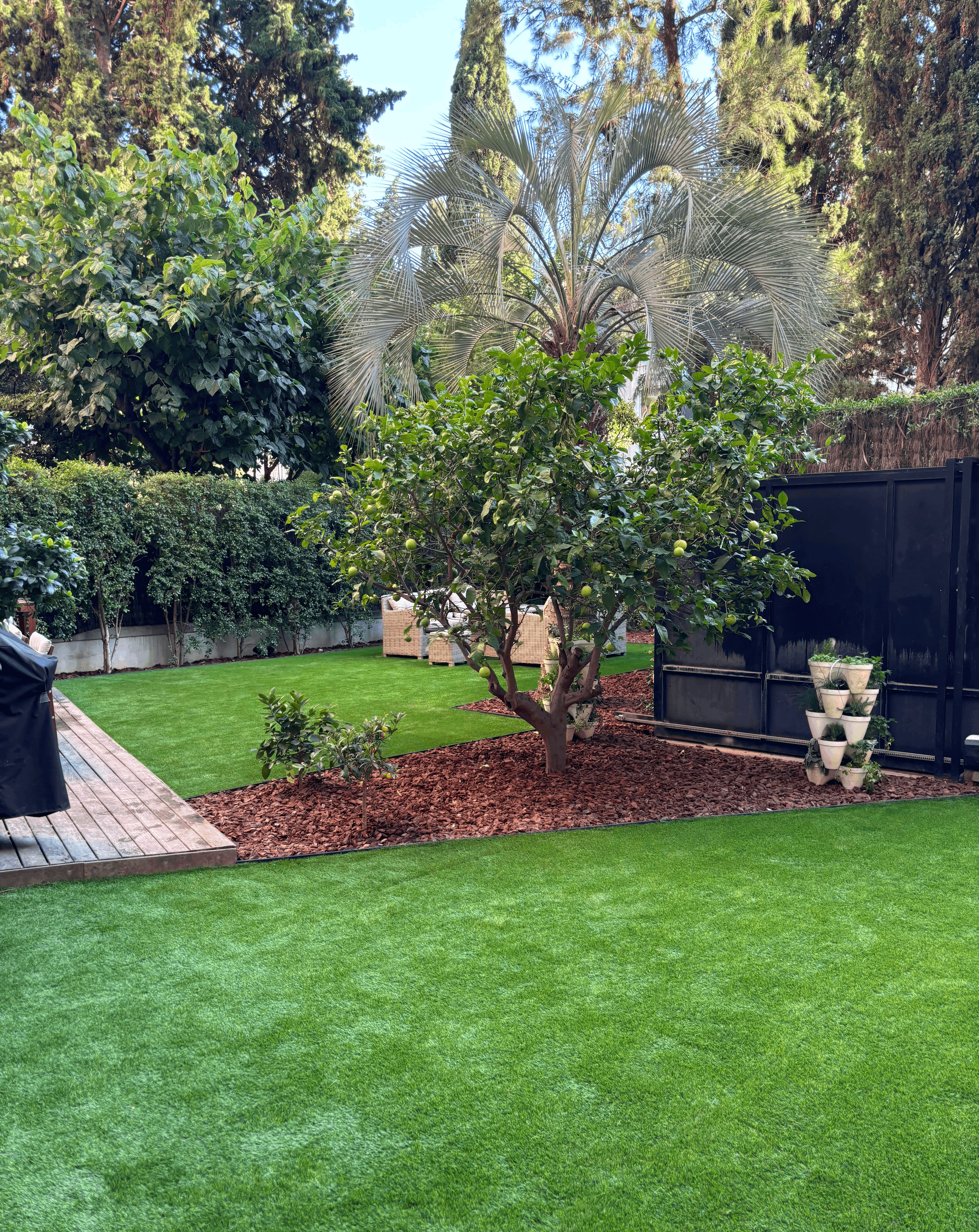 IMG_0429 (1).png