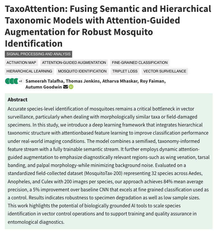 TaxoAttention: Fusing Semantic and Hierarchical Taxonomic Models with Attention-Guided Augmentation for Robust Mosquito Identification