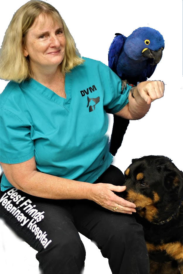 Team — Best Friends Veterinary Hospital