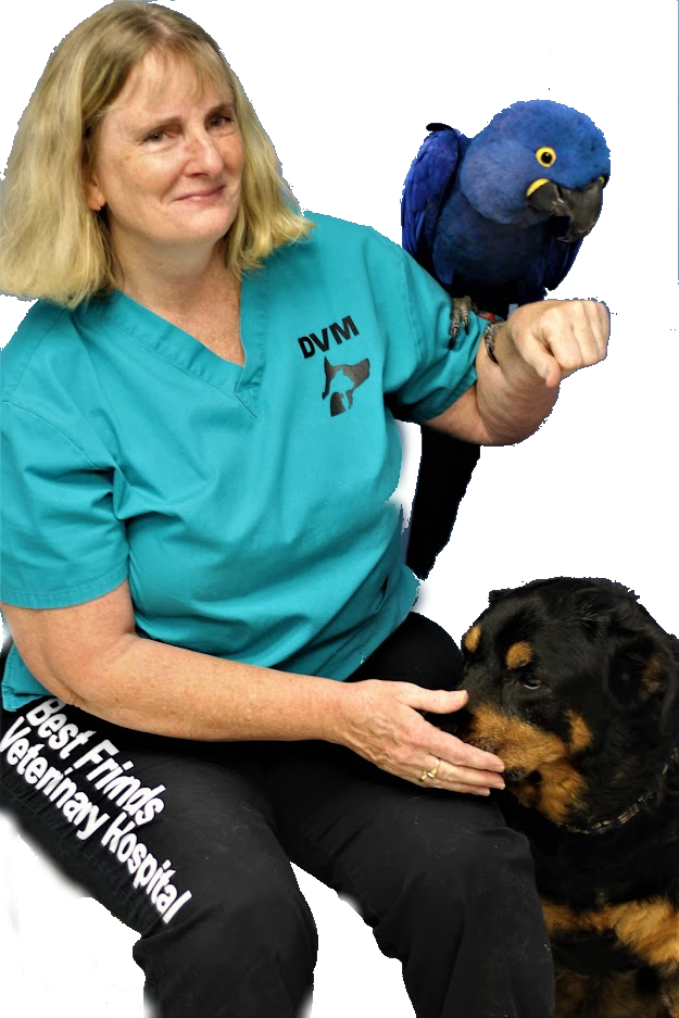 Team — Best Friends Veterinary Hospital