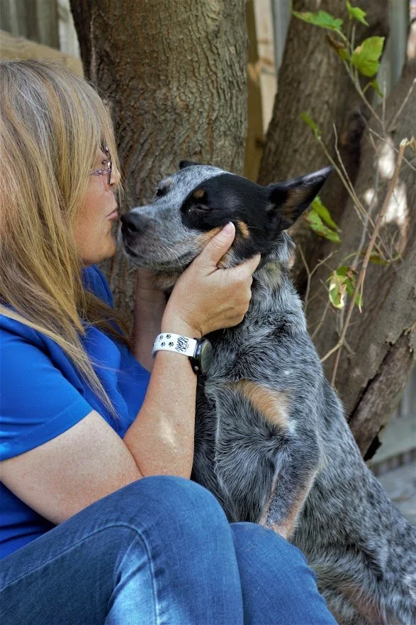 Team — Best Friends Veterinary Hospital