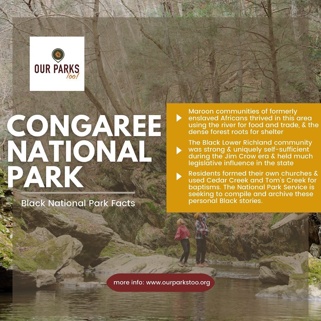 Congaree National Park is a former logging forest, designated as a National Park in 2003. 

Visit mid-May to mid-June to see the synchronous fireflies in action!!

#natureismytherapy #blacktravelers #amplifyblackvoices #amplifymelanatedvoices #blacki