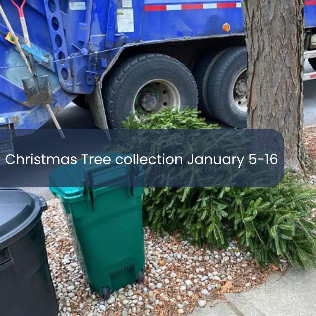 Christmas tree collection January 5-16 