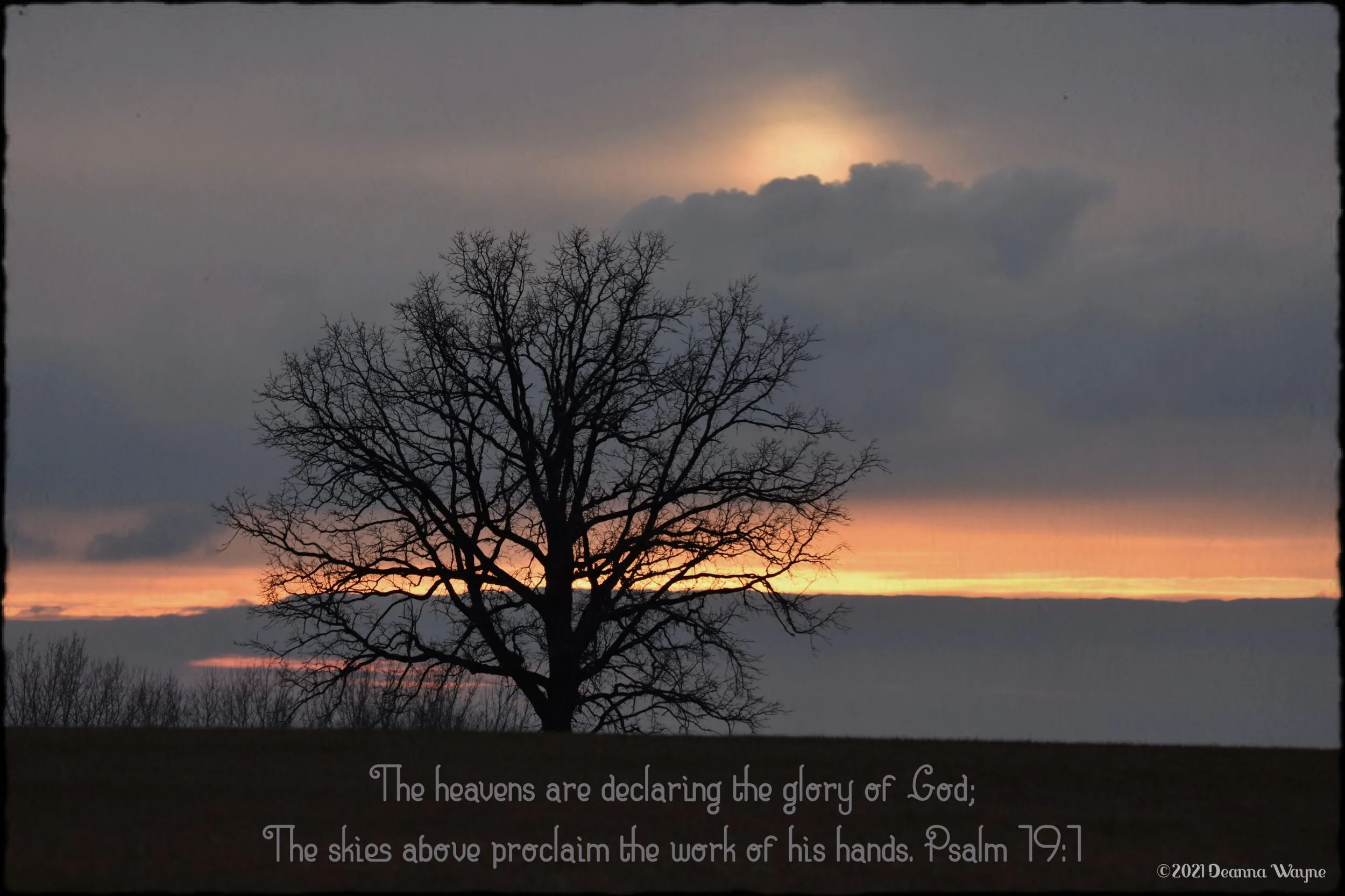 Late Autumn Sunset 2020