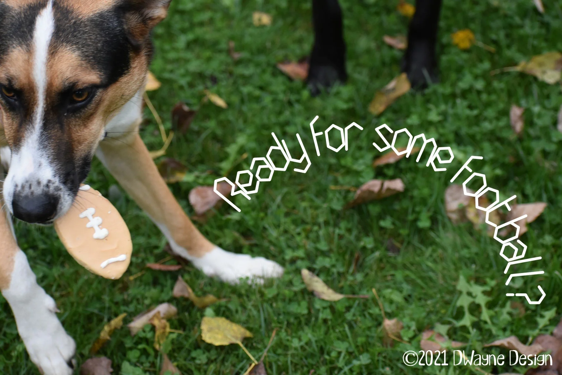 Ready For Some Football?