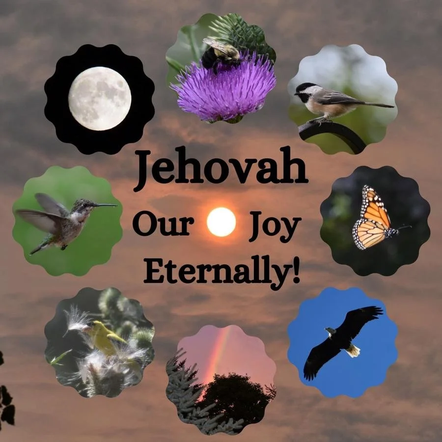 Greatest Source of Joy