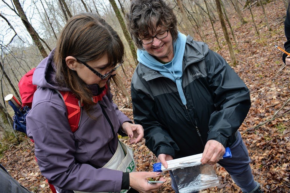  Melissa Mirza (l) and Jane Stieber measure a salamander. 