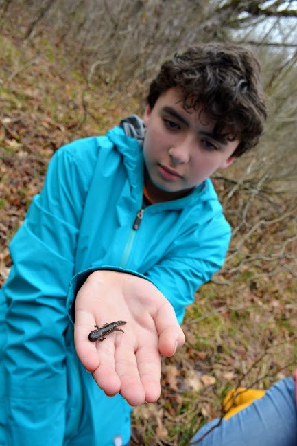  Lucas Behring holds a juvenile spotted salamander. 