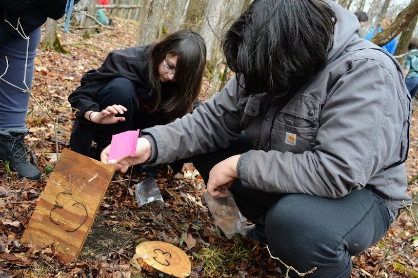  Volunteers lift up a plywood cover board to see if there are any salamanders underneath. 