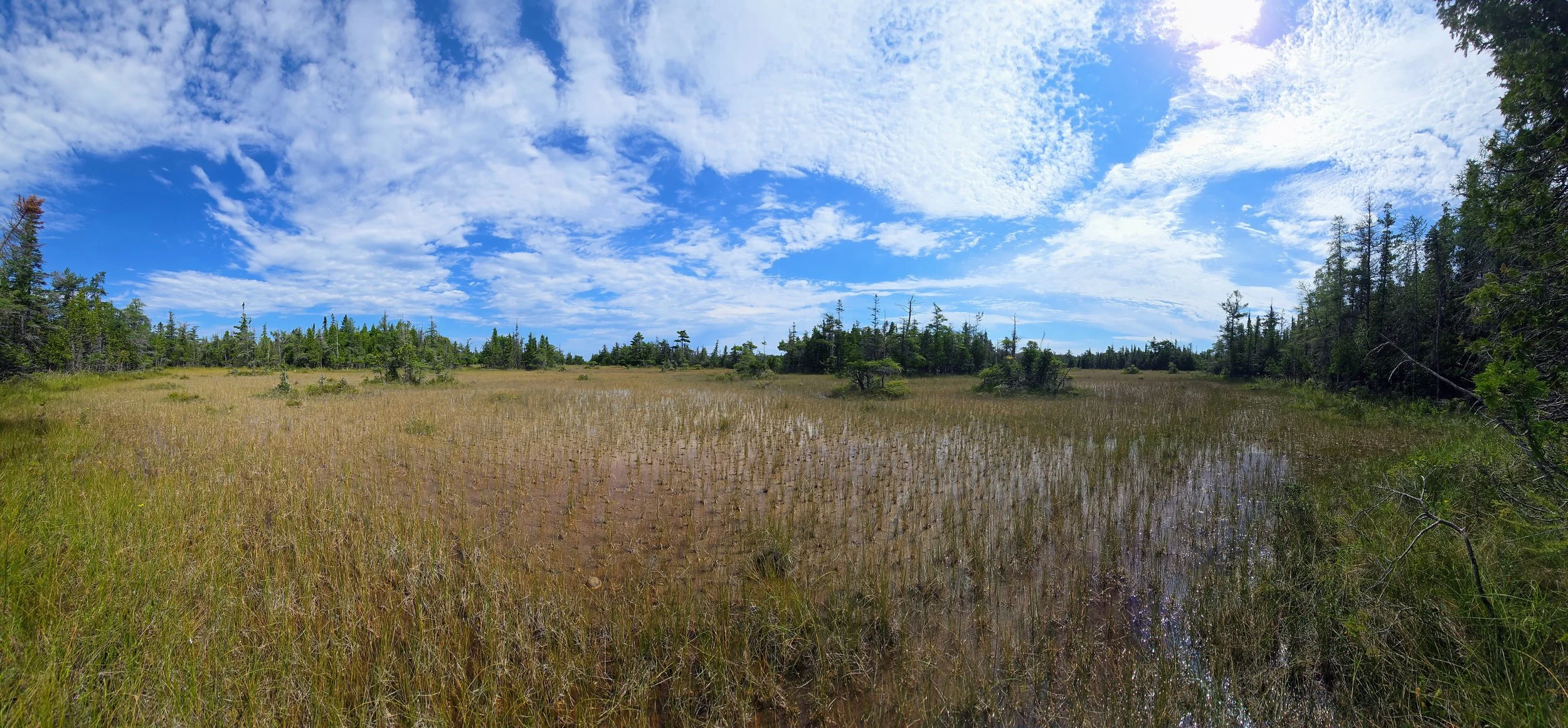  A panoramic view of the coastal fen at North Point 