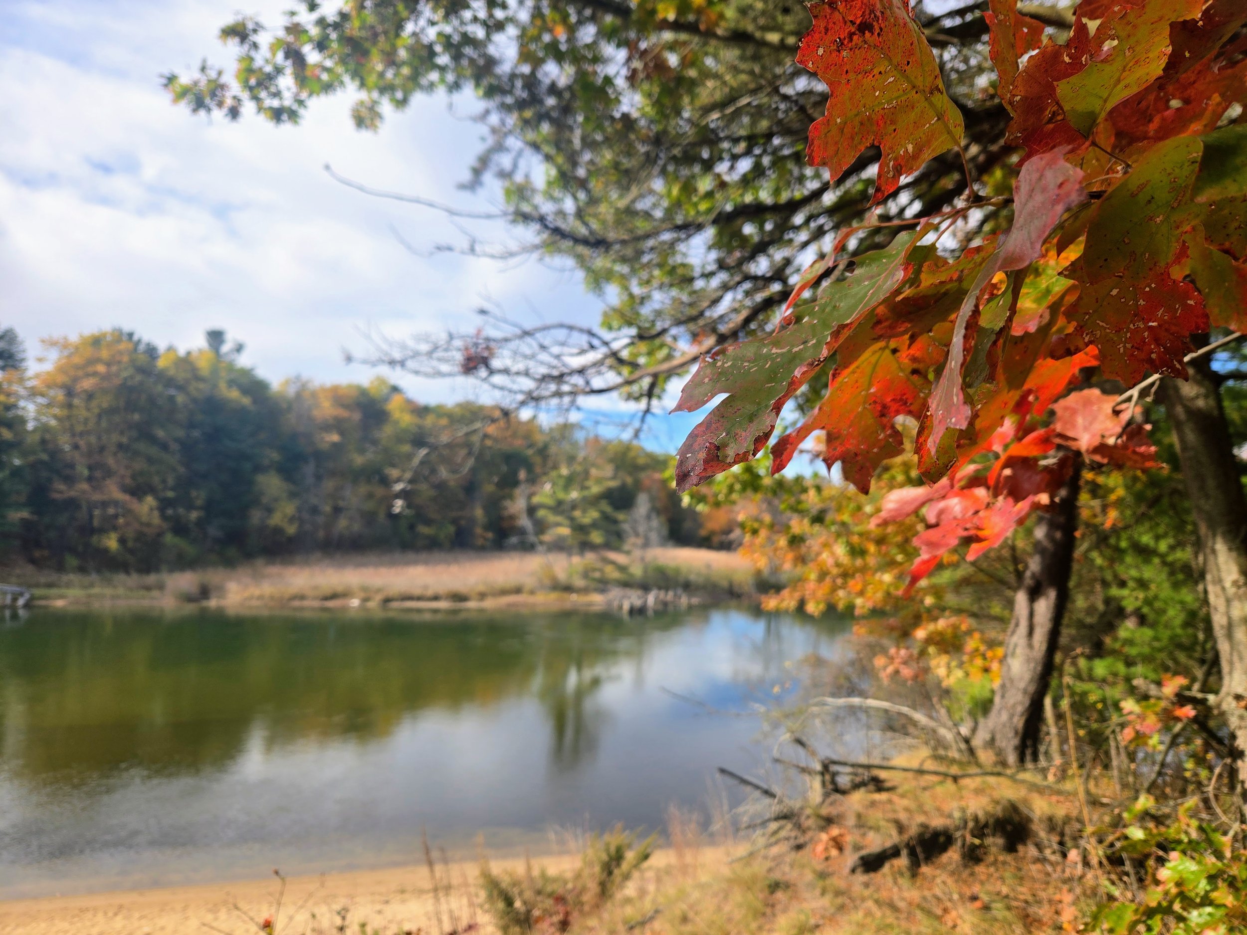 Huron Pines Transfers ‘AuSable River Scenic Preserve’ to Oscoda Charter Township