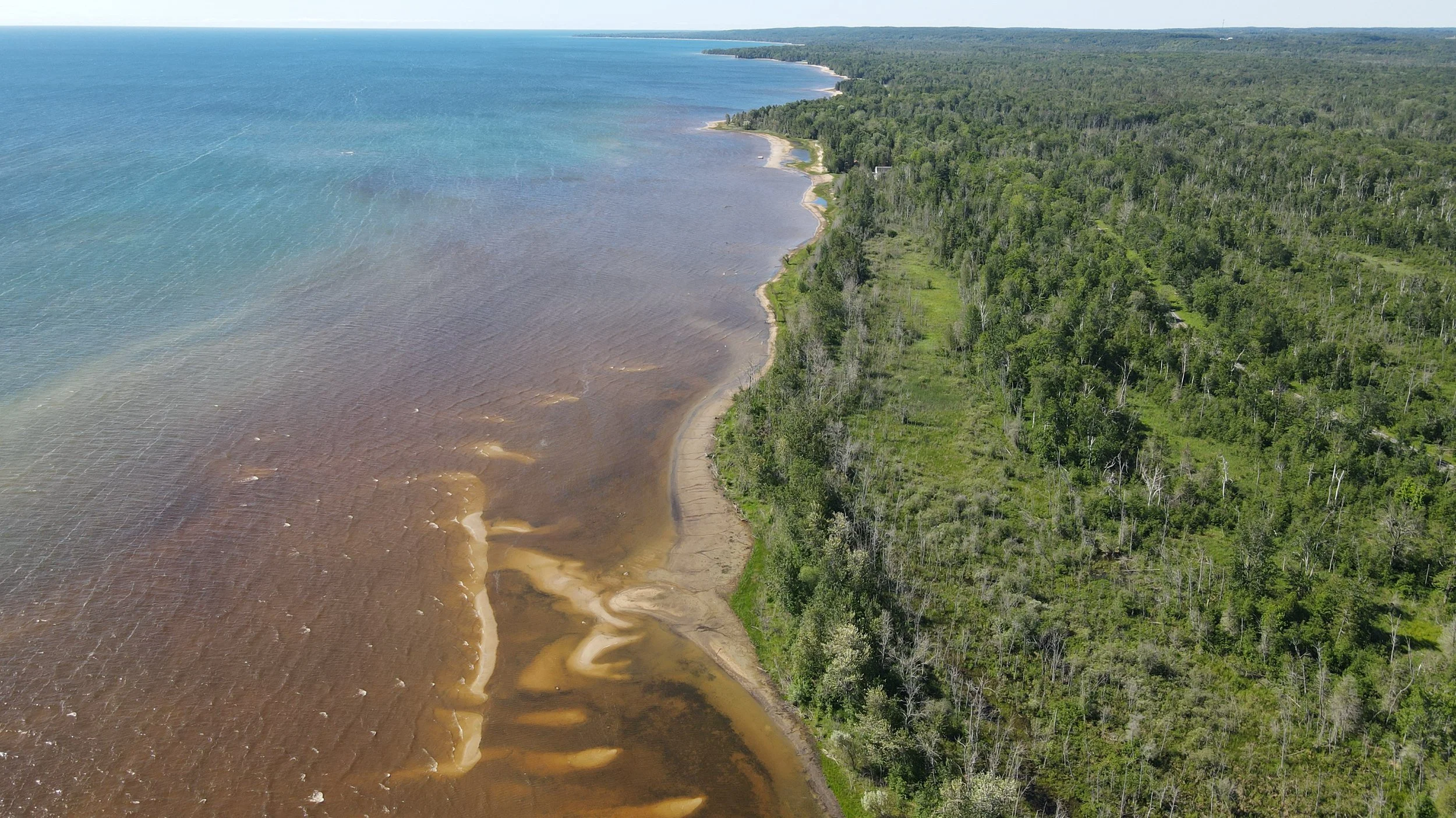 Healthy Forests, Healthy Waters - Educator Workshop