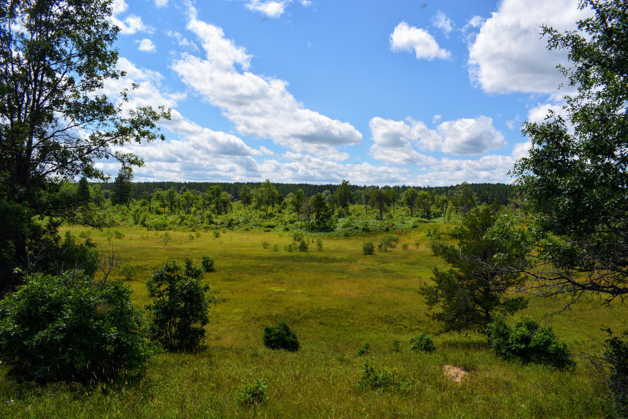 Jack Pine Research Symposium