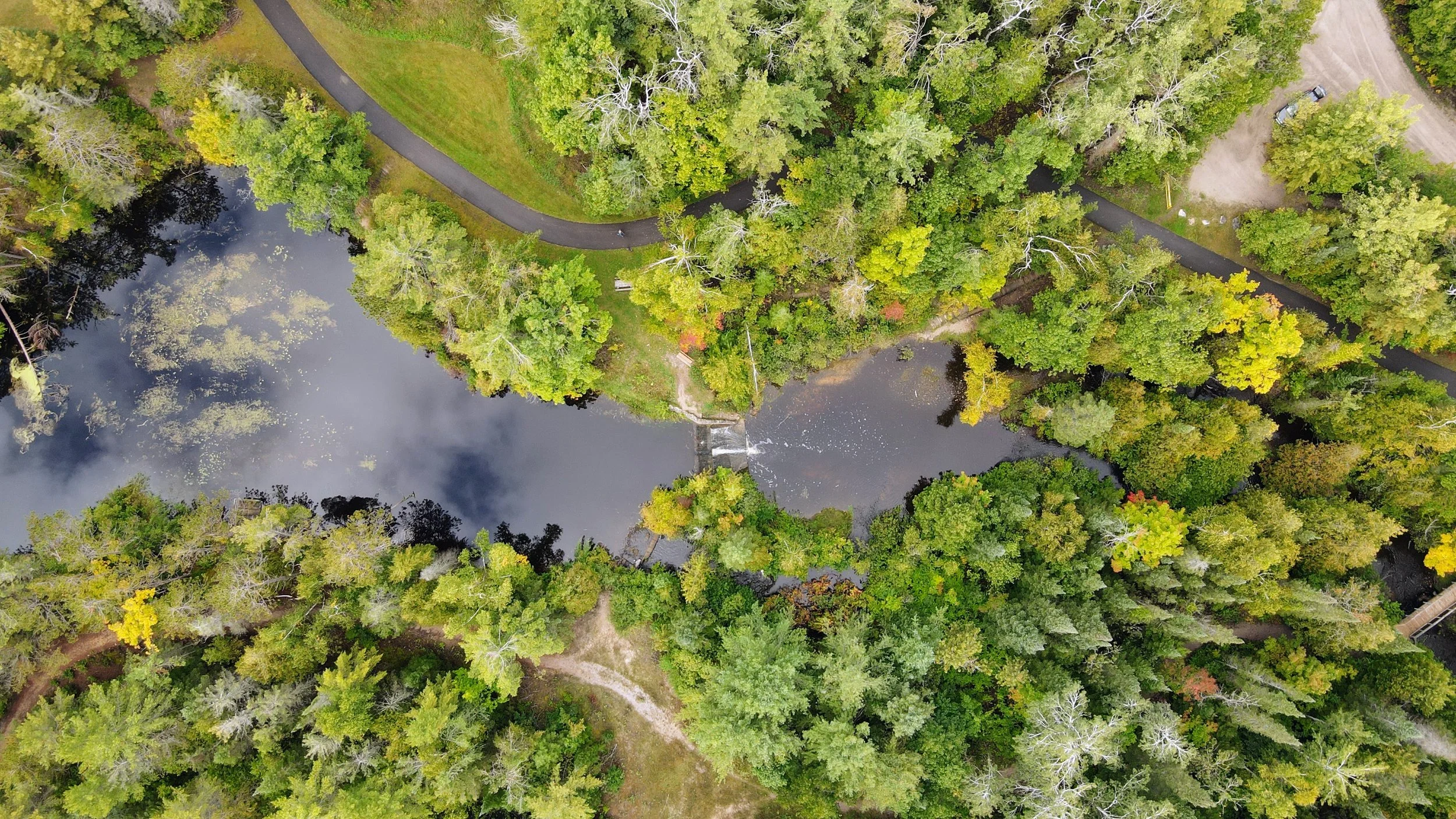 Community Information Session: Trout River Restoration at Herman Vogler Conservation Area
