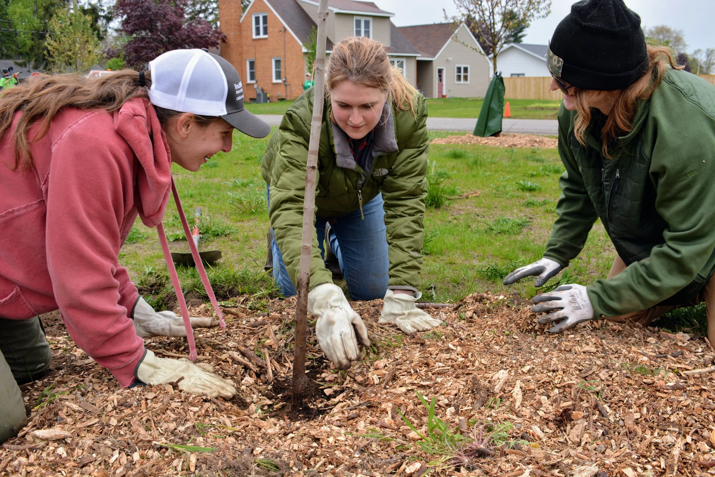 Rogers City Tree Planting