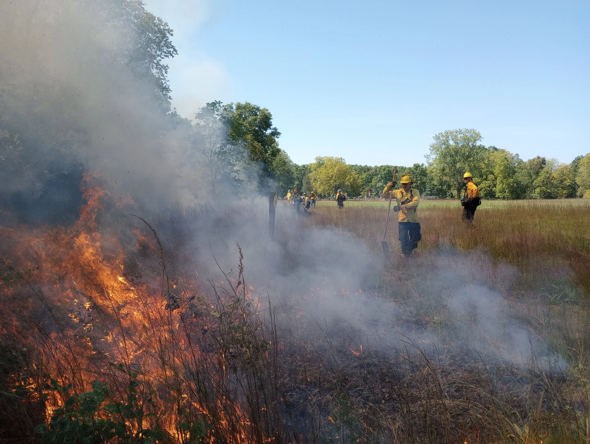 Restoration by Fire: Prescribed Burn FAQs
