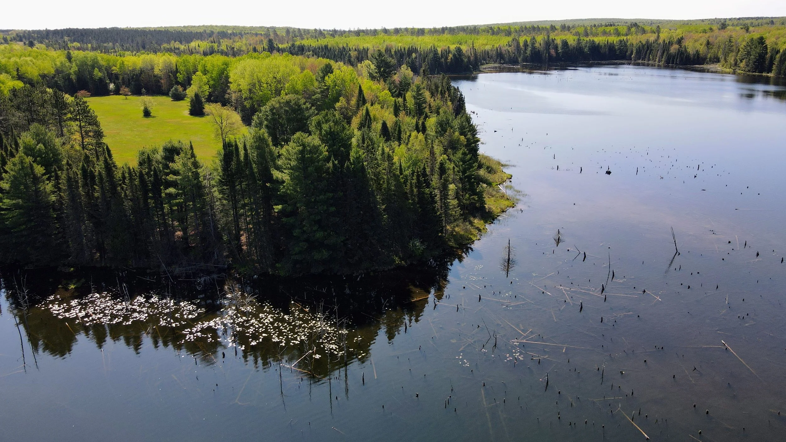 Big Impact in The Big Wild