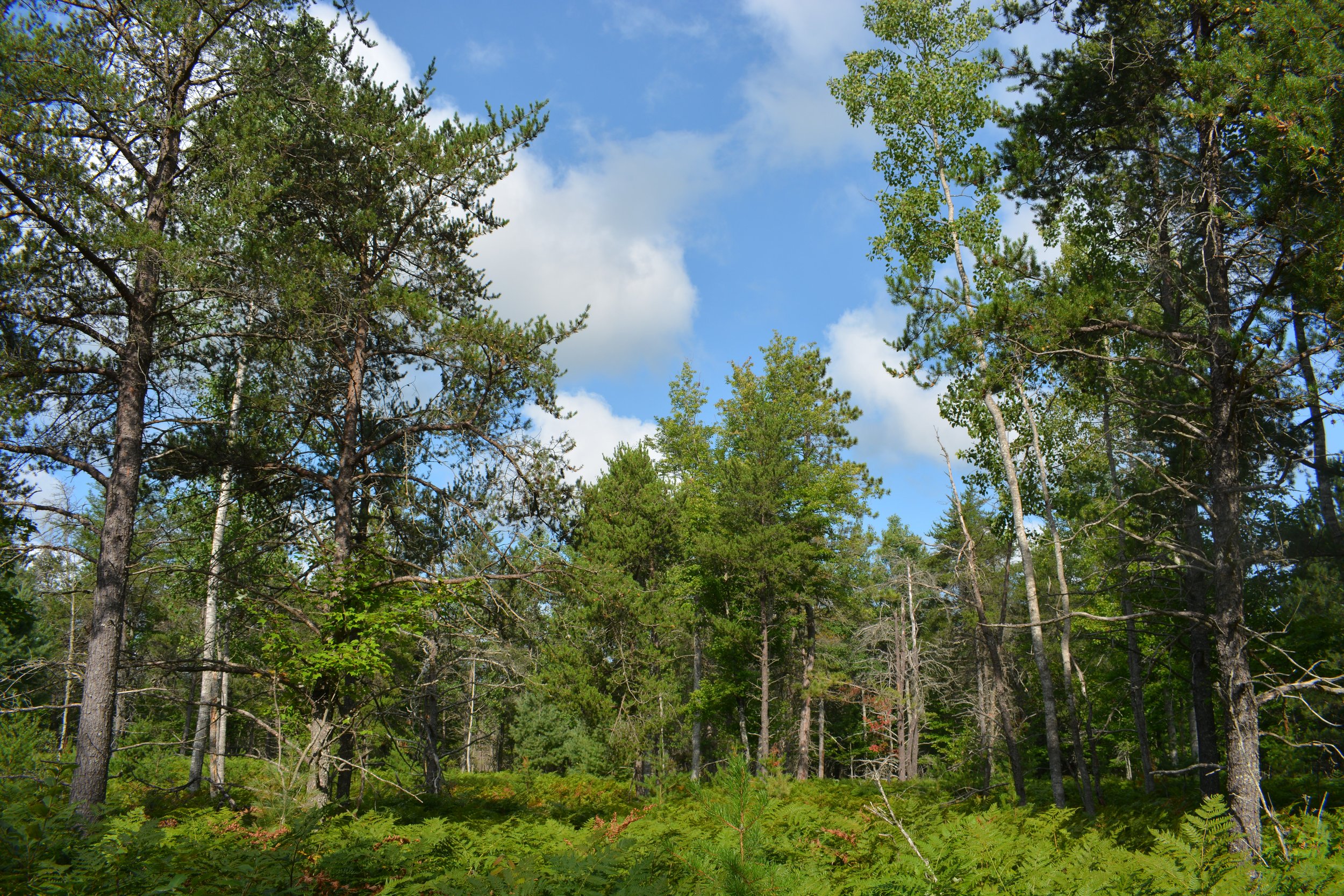 Protecting Places That Matter