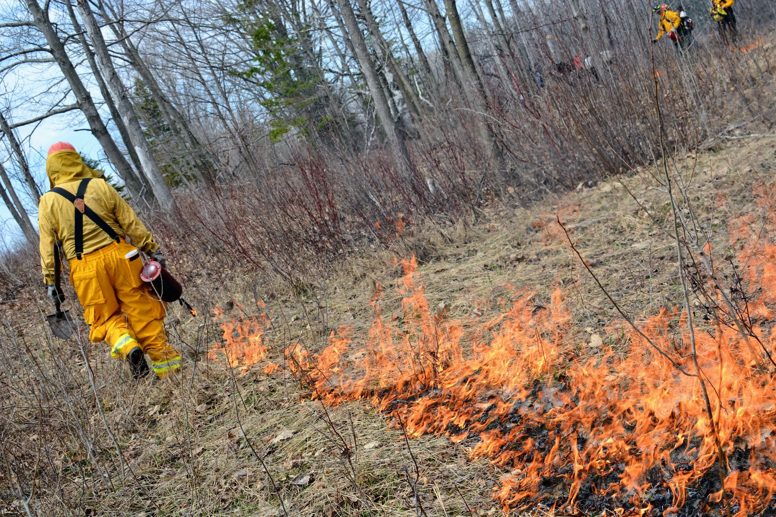 Burn Plan Writing Workshop