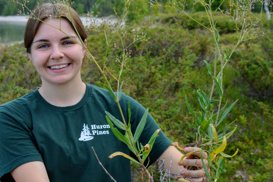 Mason Tract Volunteer Workday