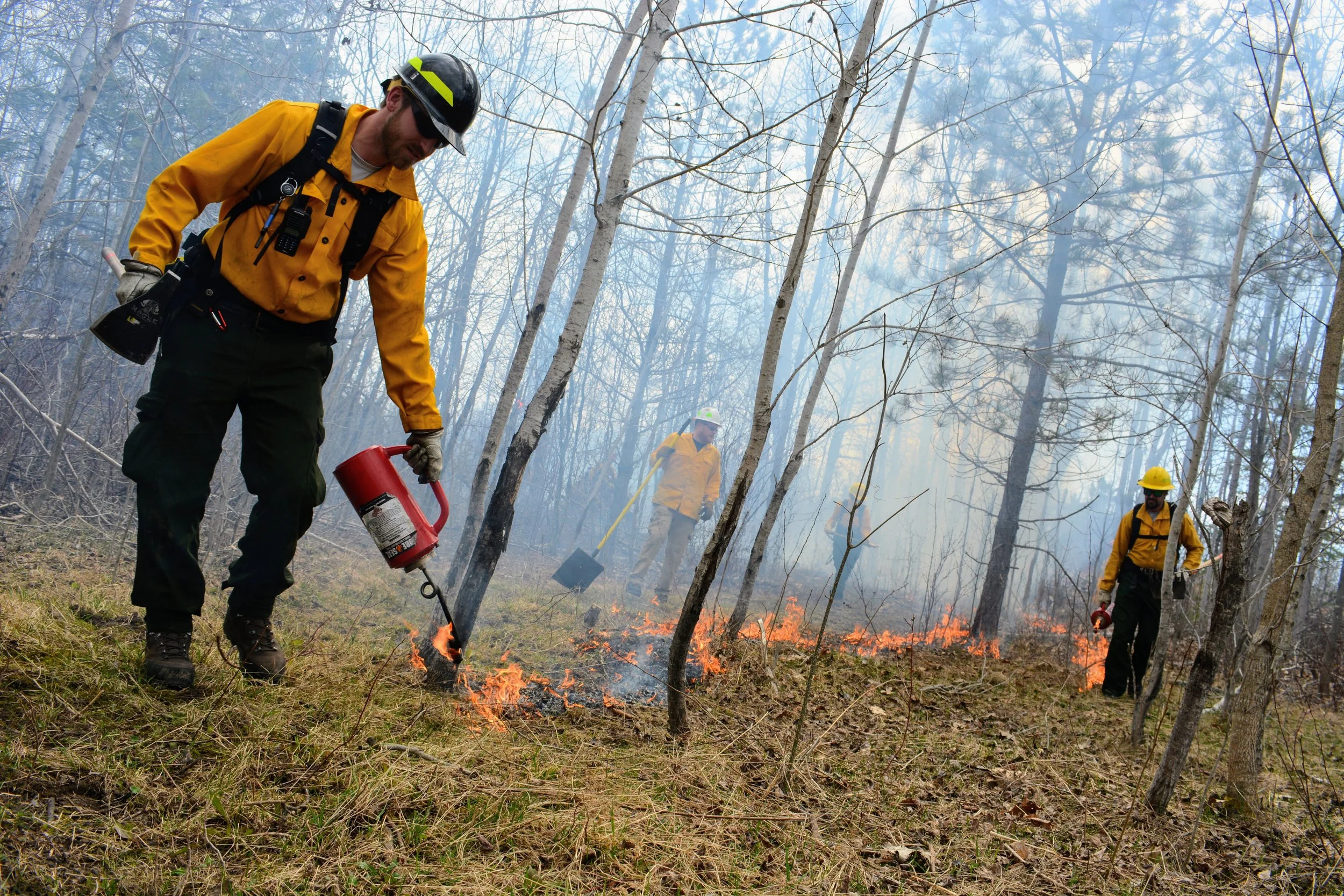Rekindling the Glade: Inside Huron Pines’ First Prescribed Burn