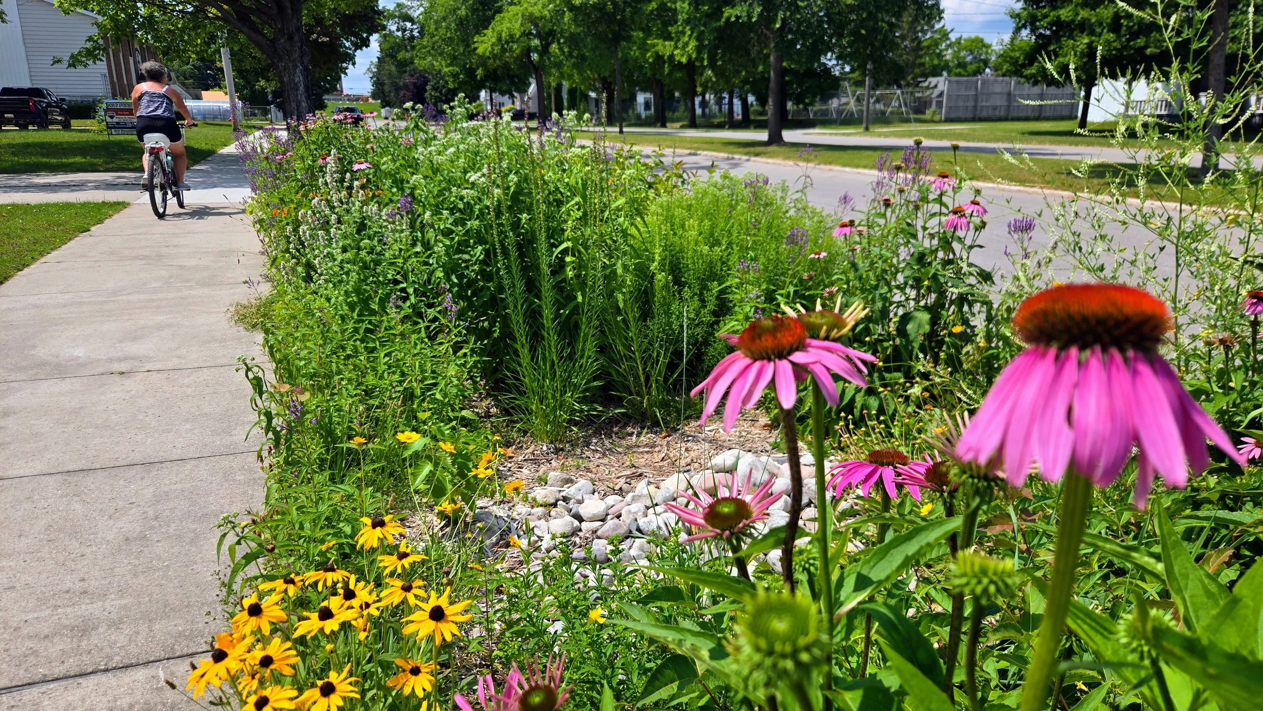 Two New Rain Gardens Coming to Downtown Alpena