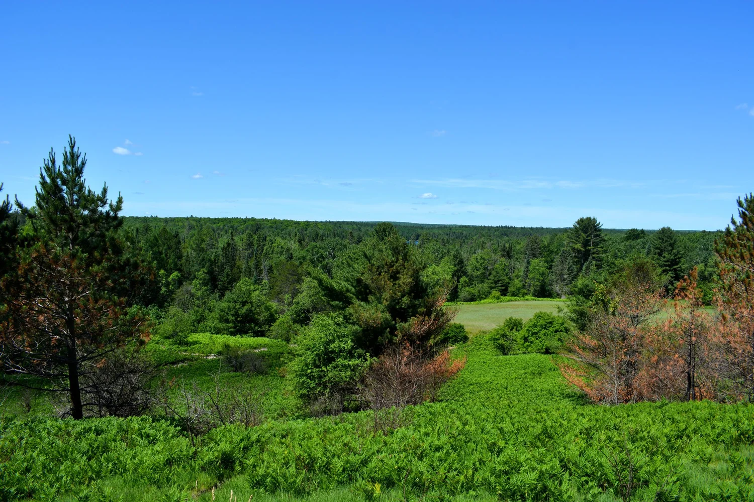 Inspiration Point — Huron Pines