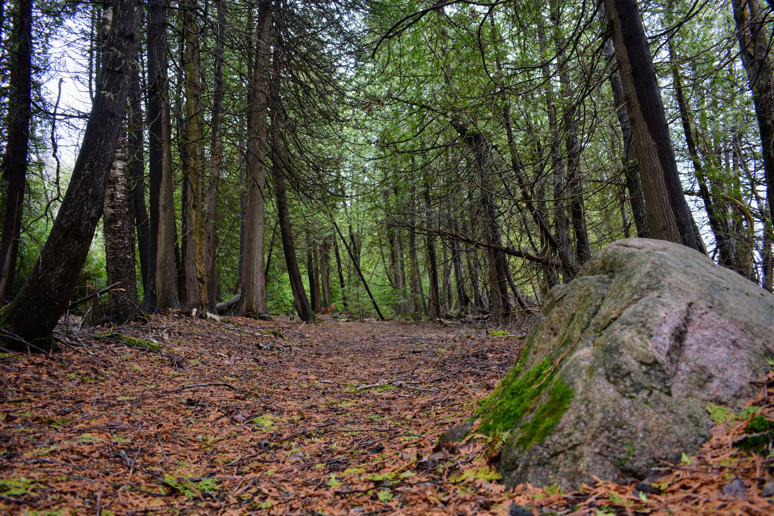 DSC_5823.JPG