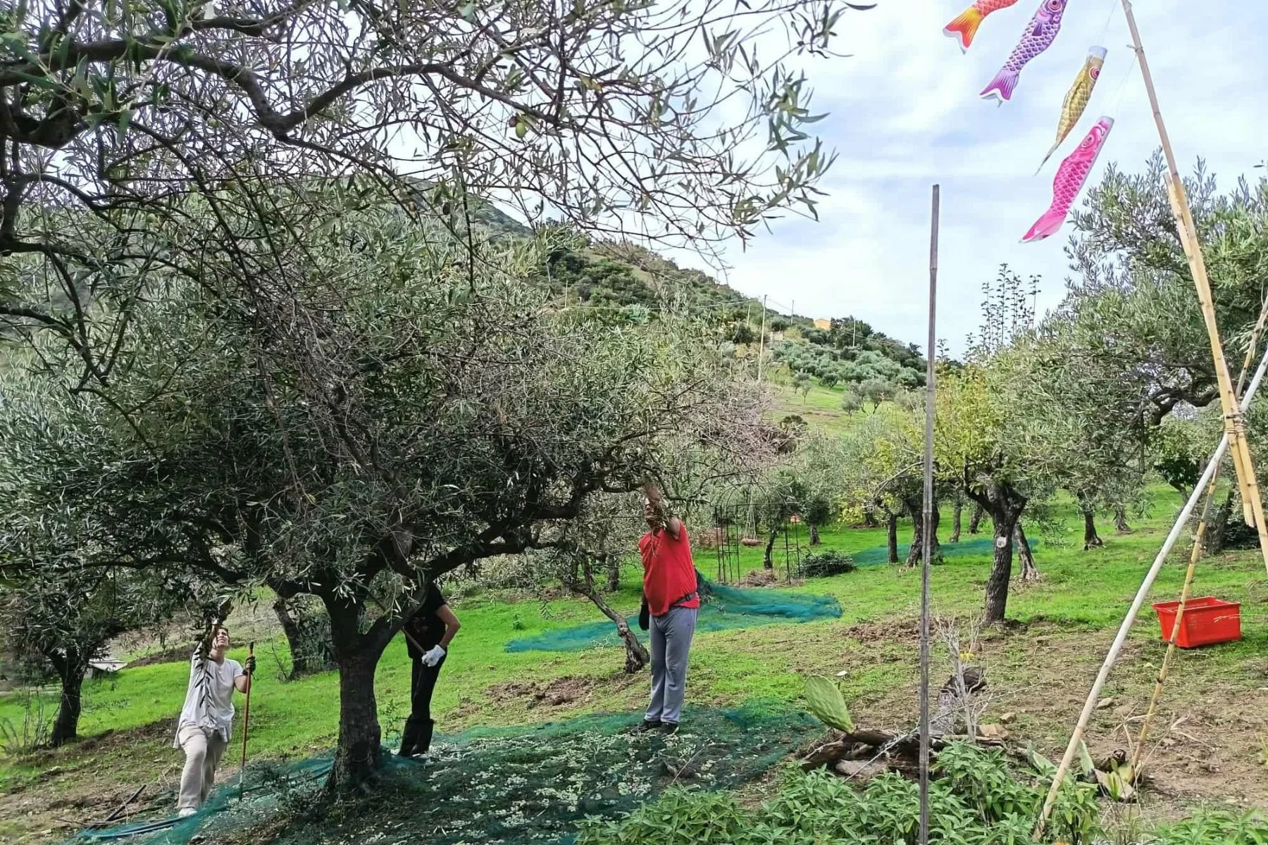 AUTOSTIMA PROFESSIONALE